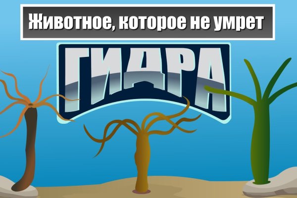 Кракен это магазин